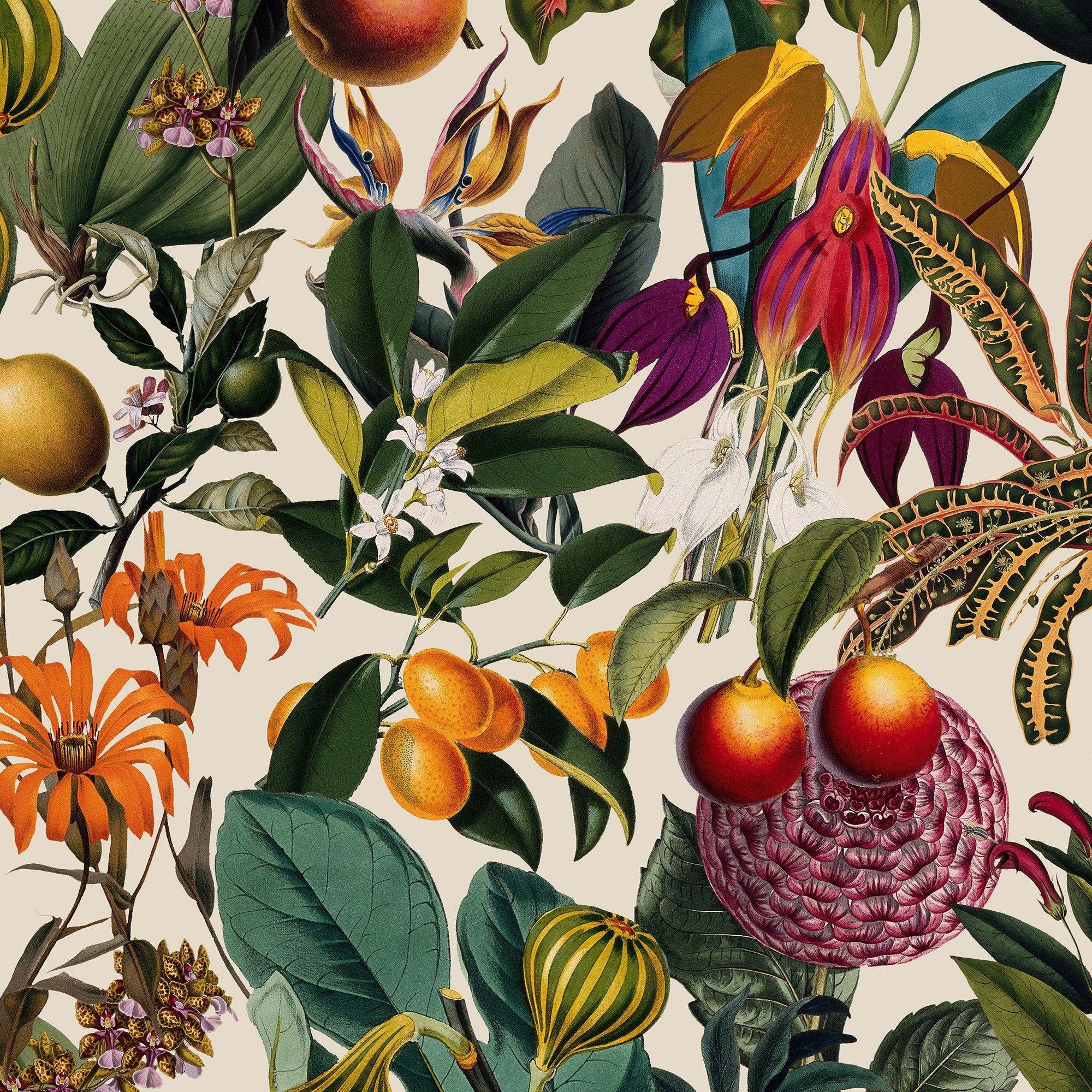 Botanical-Inspired Traditional Wallpaper