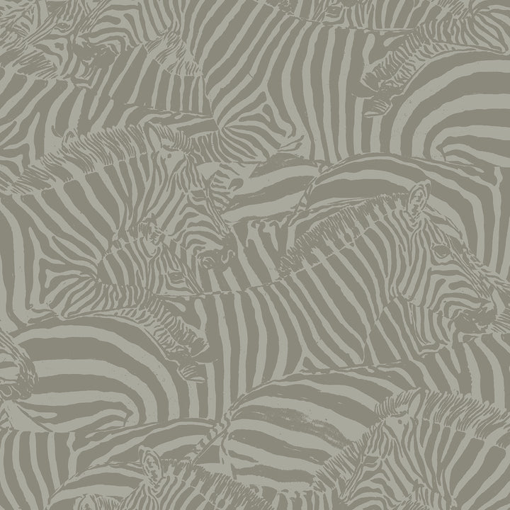 Dazzle - Fog <br> Wallpaper - The Detroit Wallpaper Co.