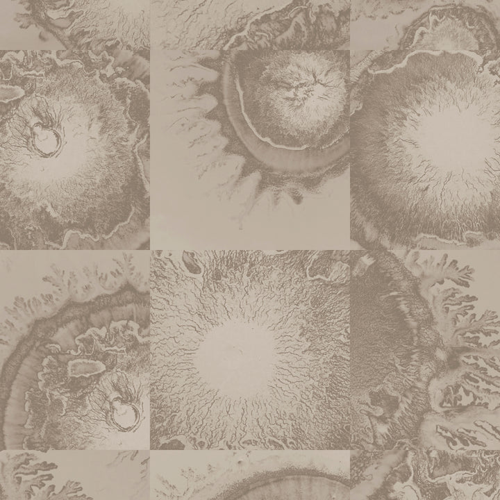 Diffused - Bisque <br> Wallpaper - The Detroit Wallpaper Co.