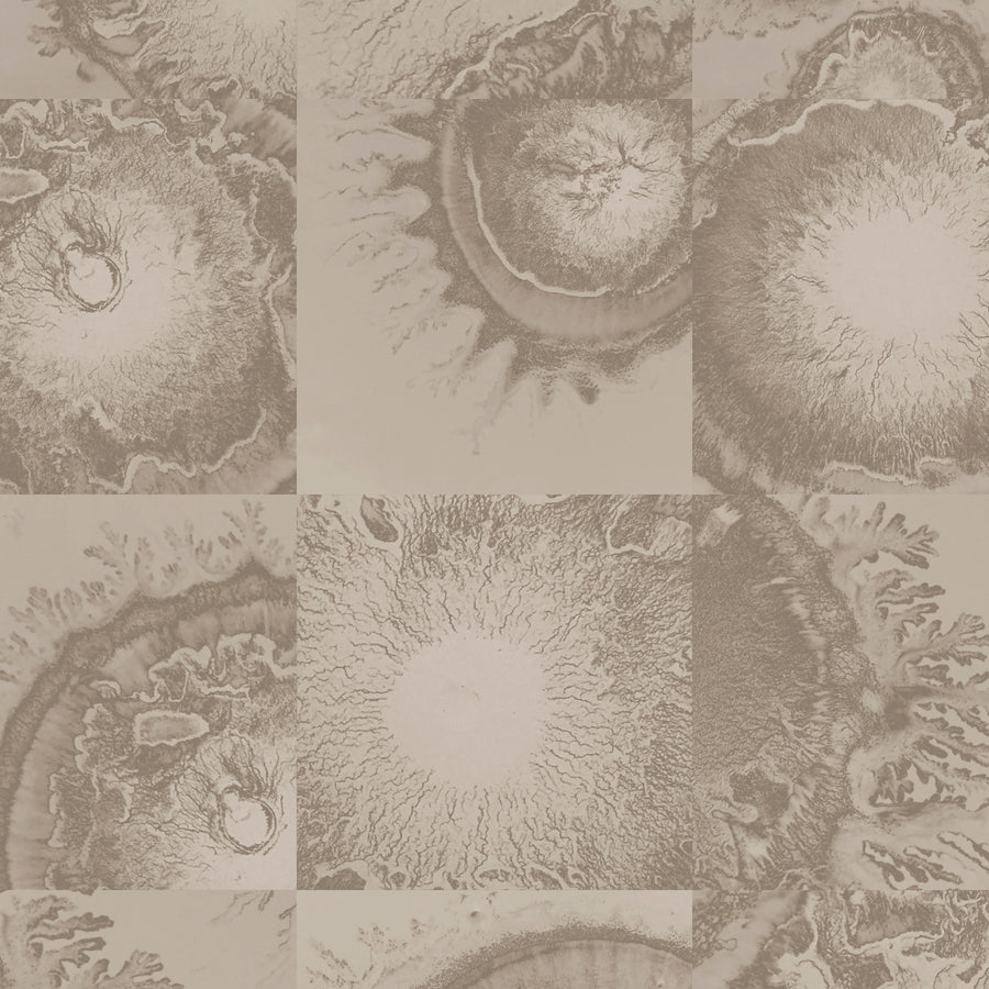 Diffused - Bisque <br> Wallpaper - The Detroit Wallpaper Co.