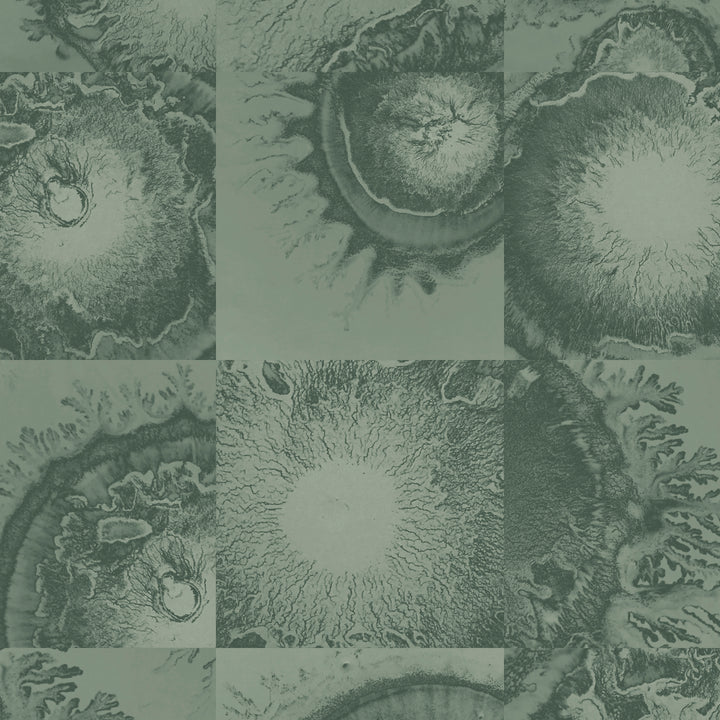 Diffused - French Green <br> Wallpaper - The Detroit Wallpaper Co.