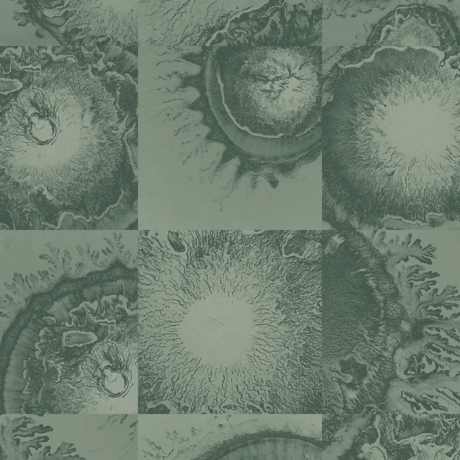 Diffused - French Green <br> Wallpaper - The Detroit Wallpaper Co.