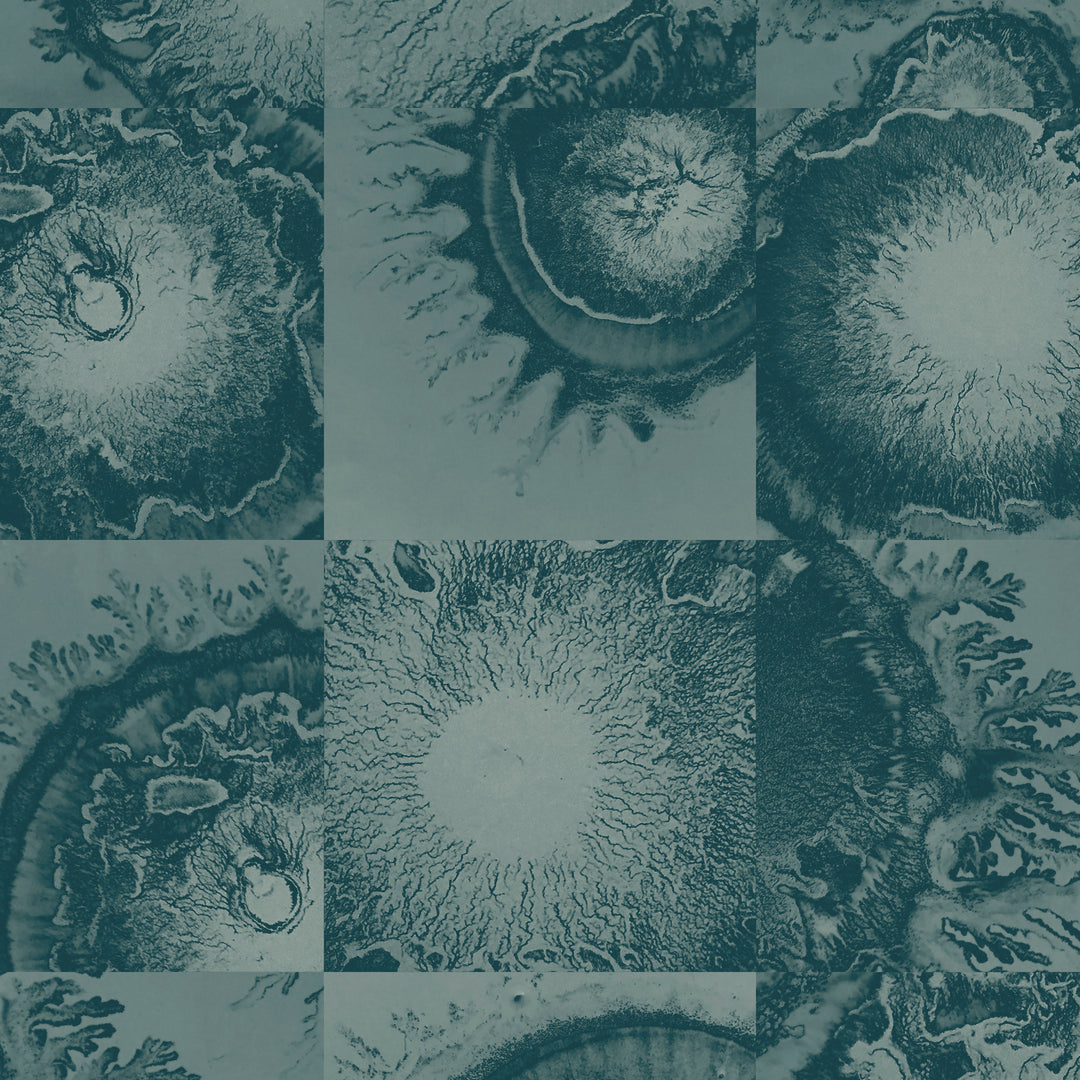 Diffused - Jaipur <br> Wallpaper - The Detroit Wallpaper Co.