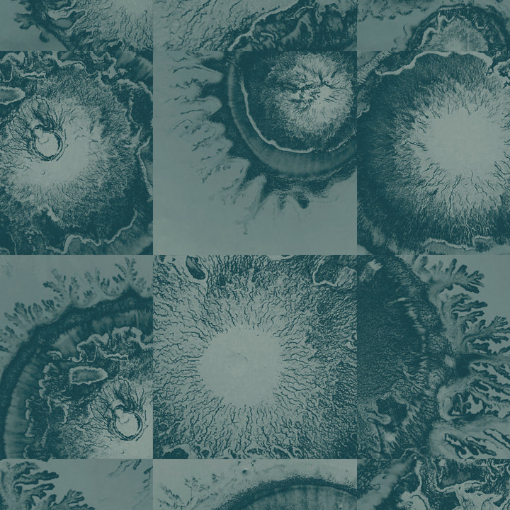 Diffused - Jaipur <br> Wallpaper - The Detroit Wallpaper Co.