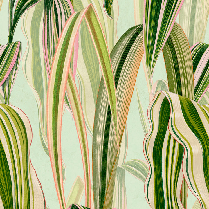 Gentle - Mint Fizz <br> Wallpaper - The Detroit Wallpaper Co.