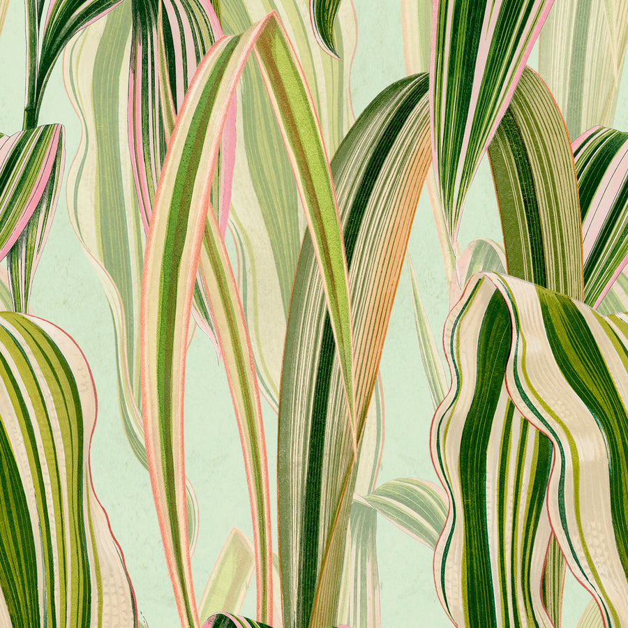 Gentle - Mint Fizz <br> Wallpaper - The Detroit Wallpaper Co.