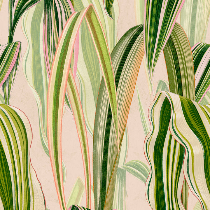Gentle - Rose Oil <br> Wallpaper - The Detroit Wallpaper Co.