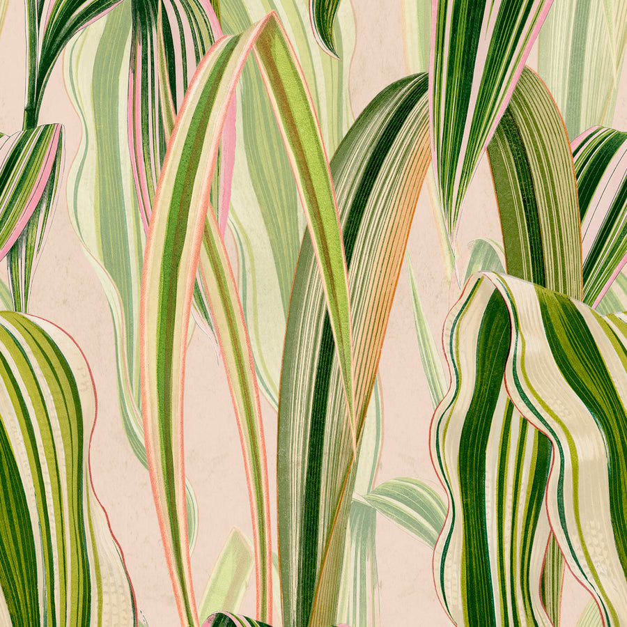Gentle - Rose Oil <br> Wallpaper - The Detroit Wallpaper Co.