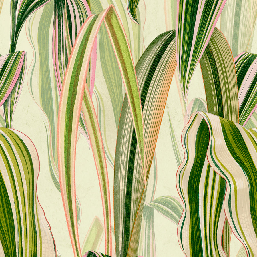 Gentle - Spring <br> Wallpaper - The Detroit Wallpaper Co.