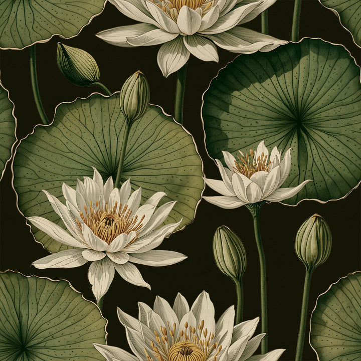 Lily Pad - Terrarium <br> Wallpaper - The Detroit Wallpaper Co.