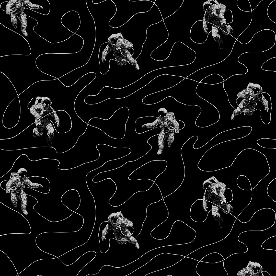 Moon Walk - Expanse <br> Wallpaper - The Detroit Wallpaper Co.