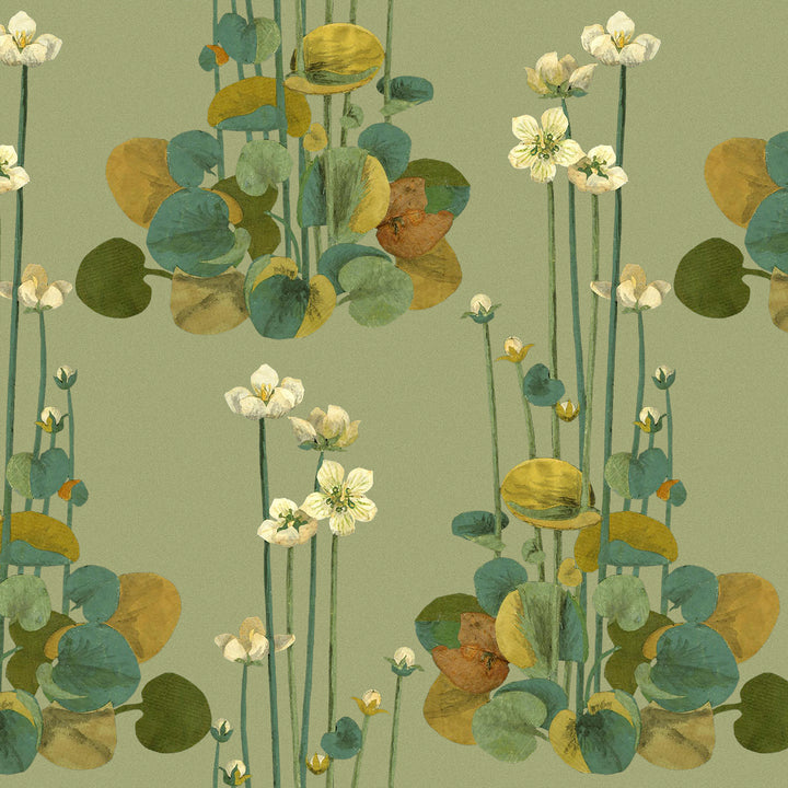 Parnassia - Grass <br> Wallpaper - The Detroit Wallpaper Co.