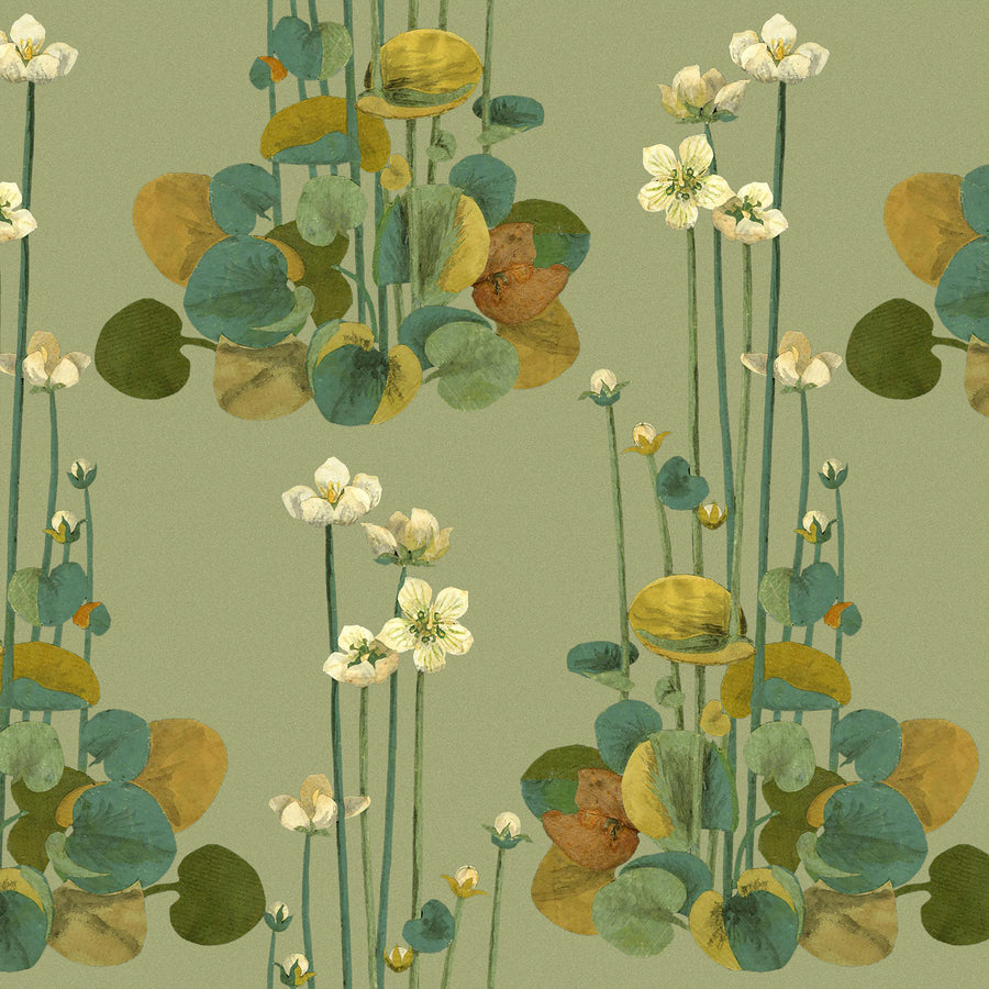 Parnassia - Grass <br> Wallpaper - The Detroit Wallpaper Co.