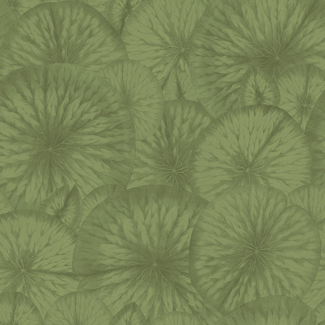 Pond - Grassy <br> Wallpaper - The Detroit Wallpaper Co.