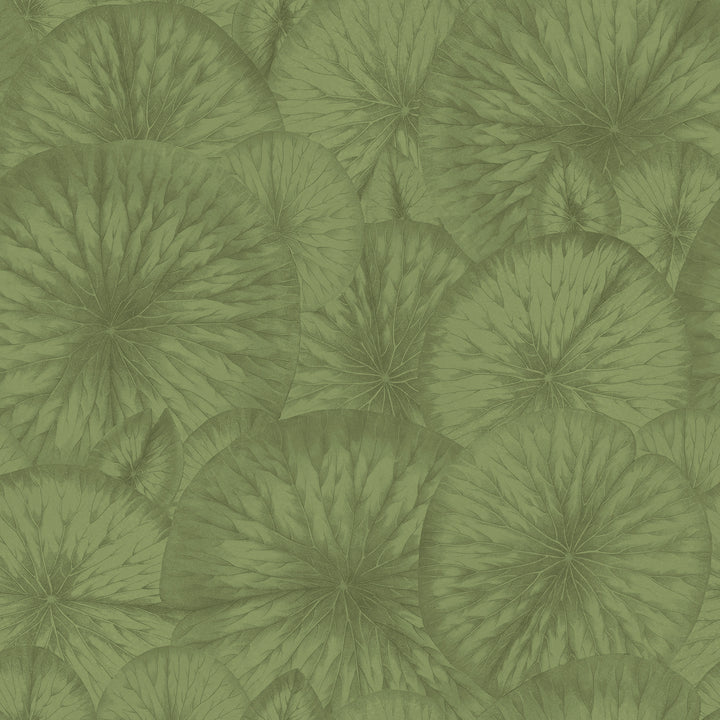 Pond - Grassy <br> Wallpaper - The Detroit Wallpaper Co.