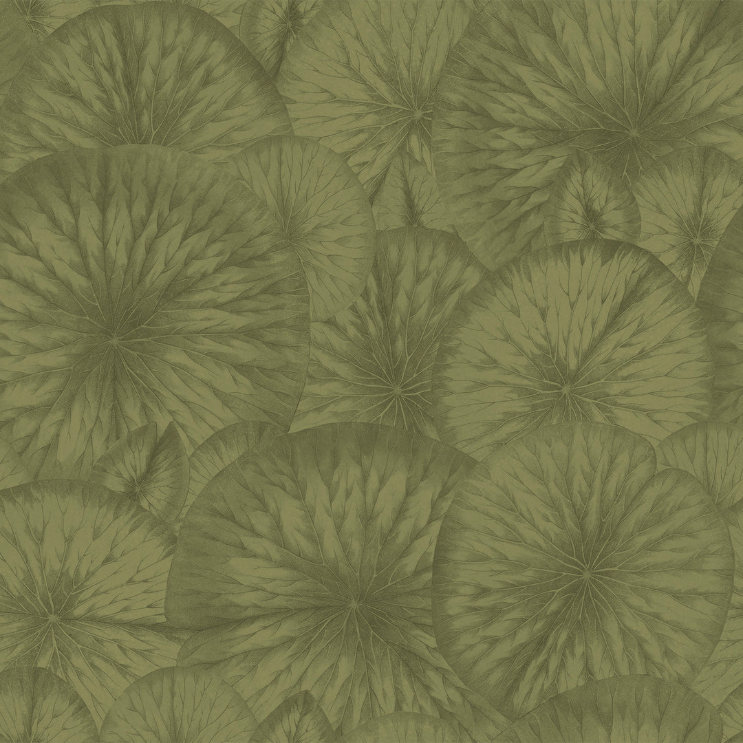 Pond - Mossy <br> Wallpaper - The Detroit Wallpaper Co.