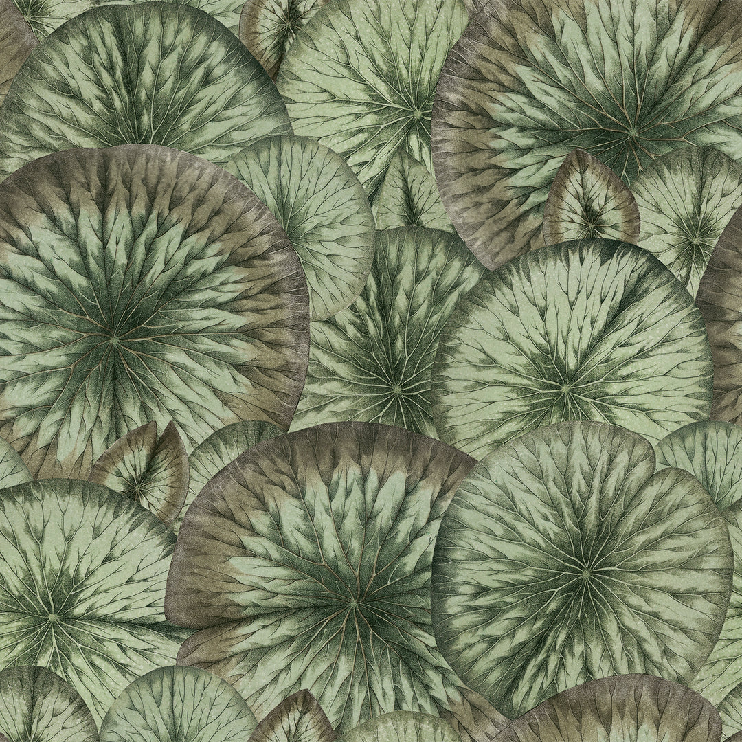 Pond - Natural <br> Wallpaper - The Detroit Wallpaper Co.