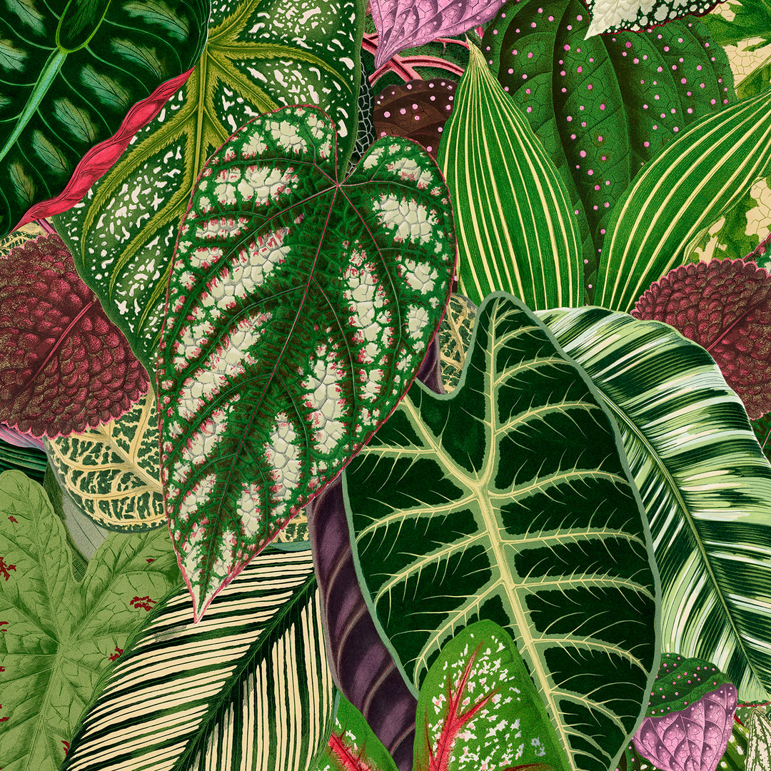 Variegated - Fantasy <br> Wallpaper - The Detroit Wallpaper Co.