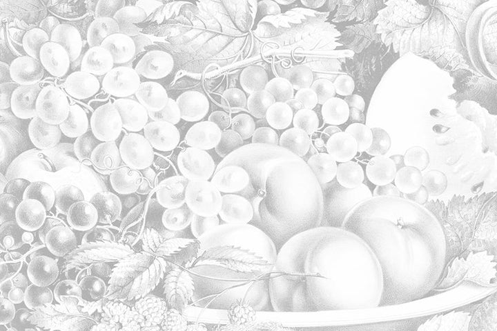 Fruit Salad Mural <br> Great Wall - Trendy Custom Wallpaper | Contemporary Wallpaper Designs | The Detroit Wallpaper Co.