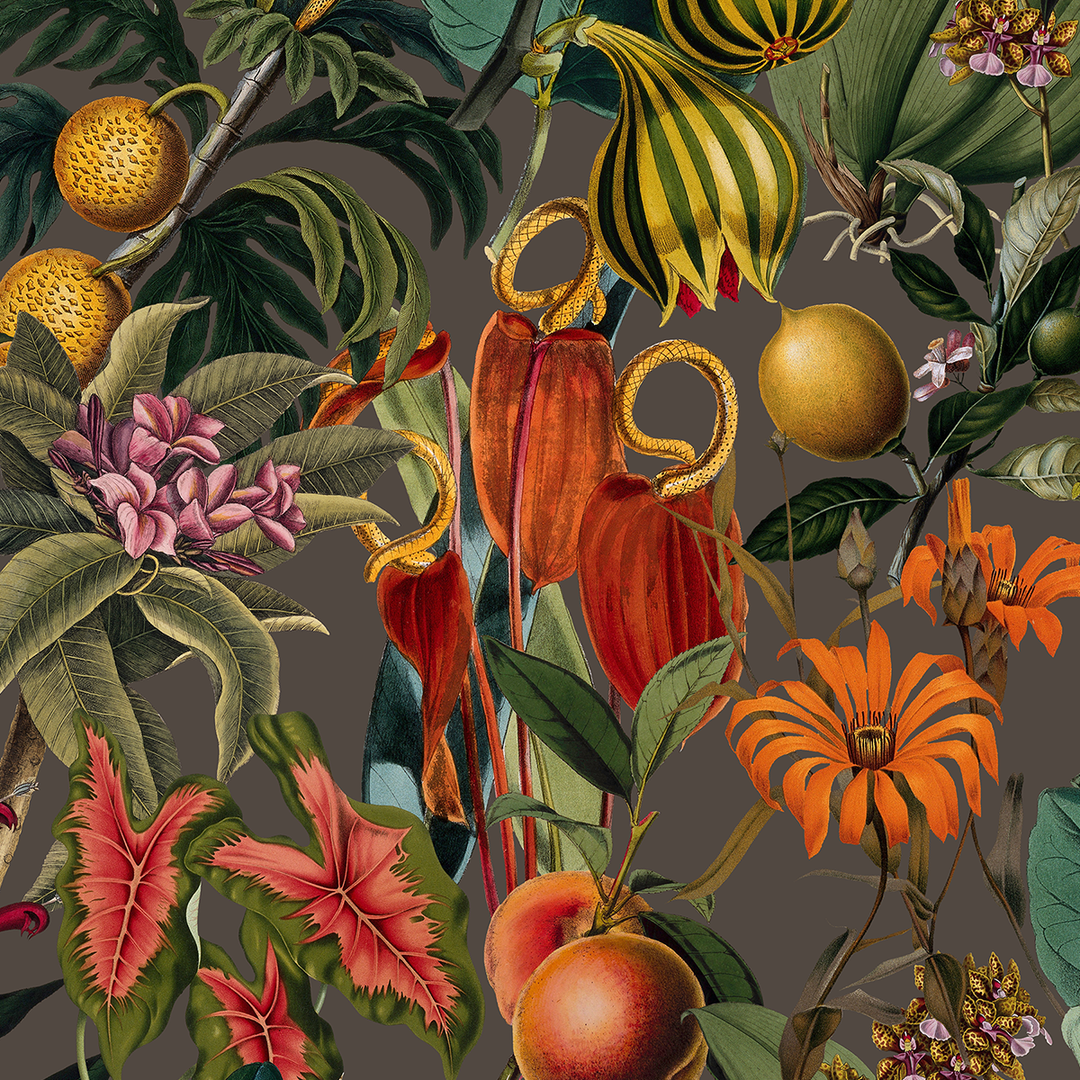 Lush - Brown <br> Wallpaper - The Detroit Wallpaper Co.