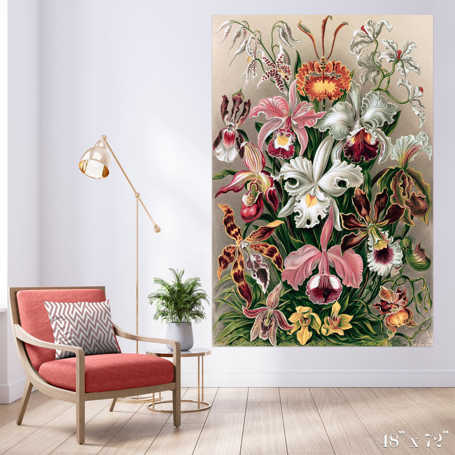 Orchids Colossal Art Print - Trendy Custom Wallpaper | Contemporary Wallpaper Designs | The Detroit Wallpaper Co.