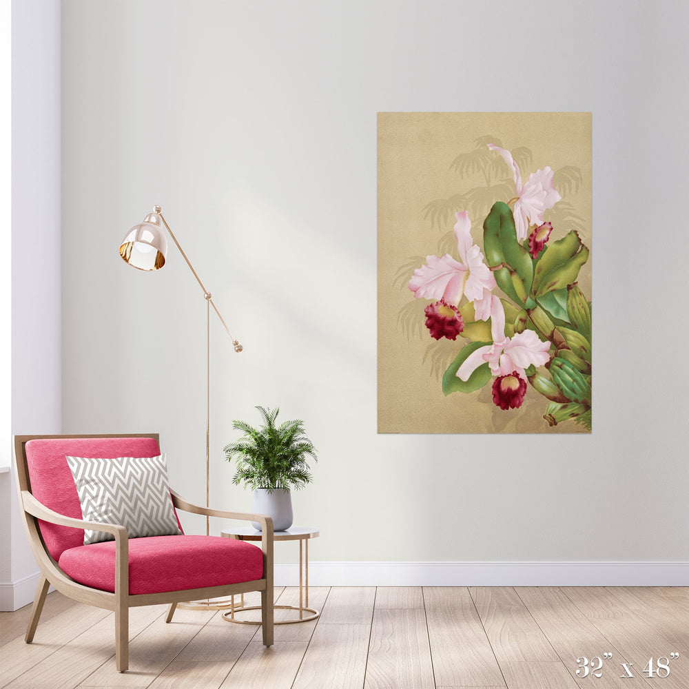Pink Orchids Colossal Art Print - Trendy Custom Wallpaper | Contemporary Wallpaper Designs | The Detroit Wallpaper Co.