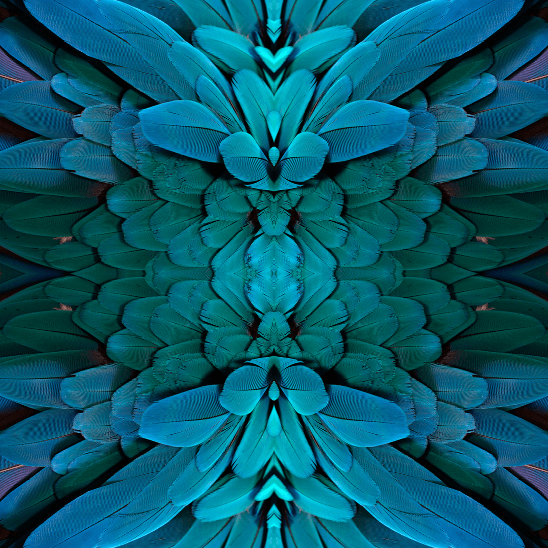 Plume - Amazonian - The Detroit Wallpaper Co.