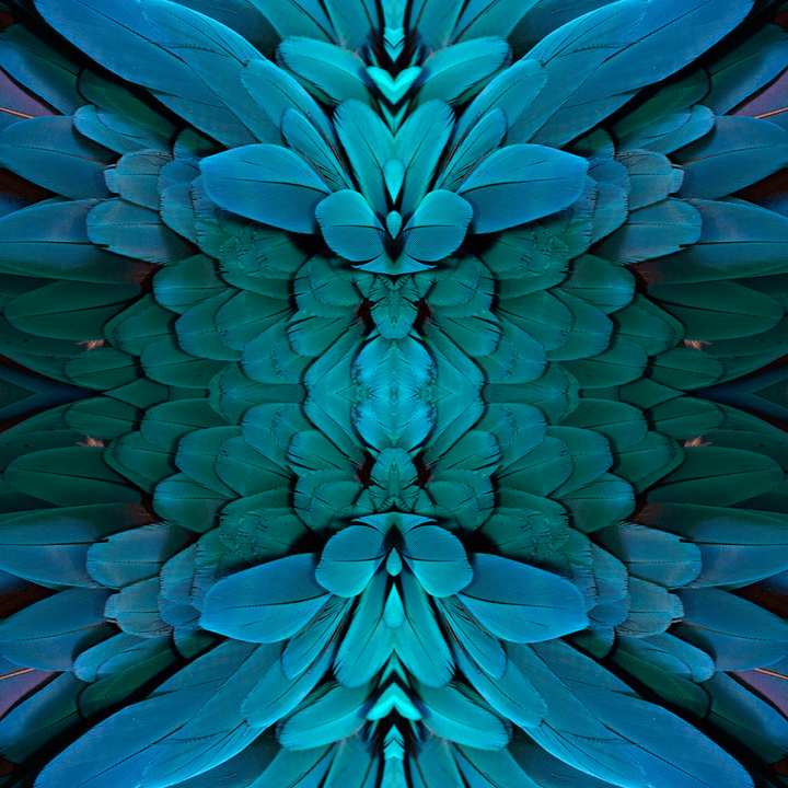 Plume - Amazonian - The Detroit Wallpaper Co.