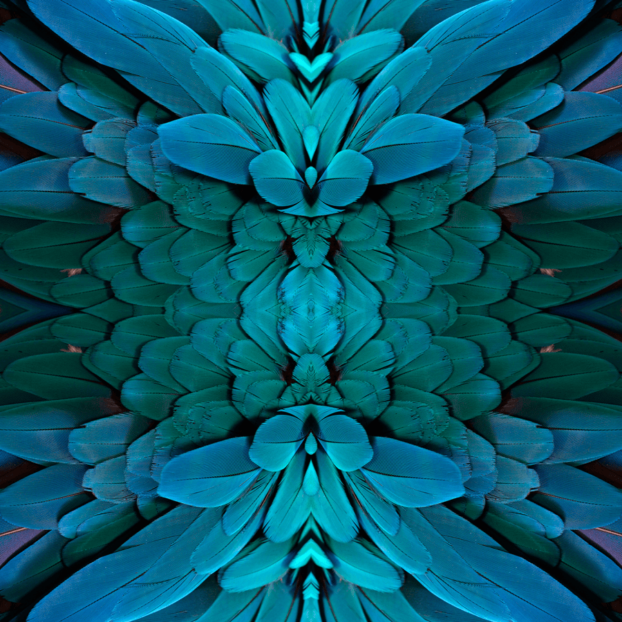 Plume - Amazonian - The Detroit Wallpaper Co.