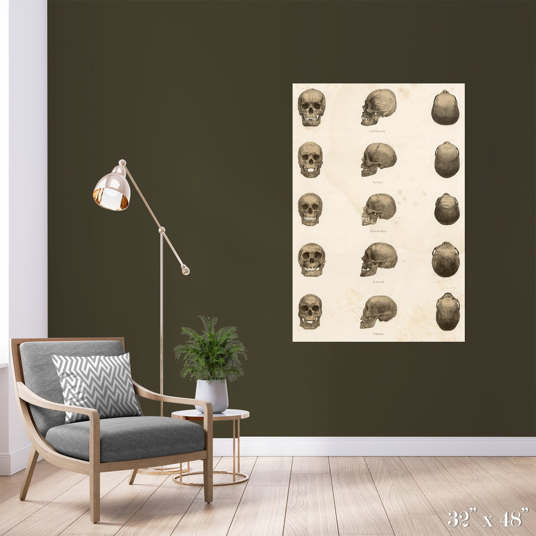 Skulls Colossal Art Print - Trendy Custom Wallpaper | Contemporary Wallpaper Designs | The Detroit Wallpaper Co.