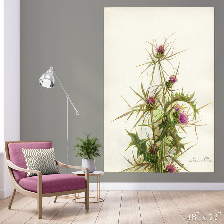 Thistle Colossal Art Print - Trendy Custom Wallpaper | Contemporary Wallpaper Designs | The Detroit Wallpaper Co.