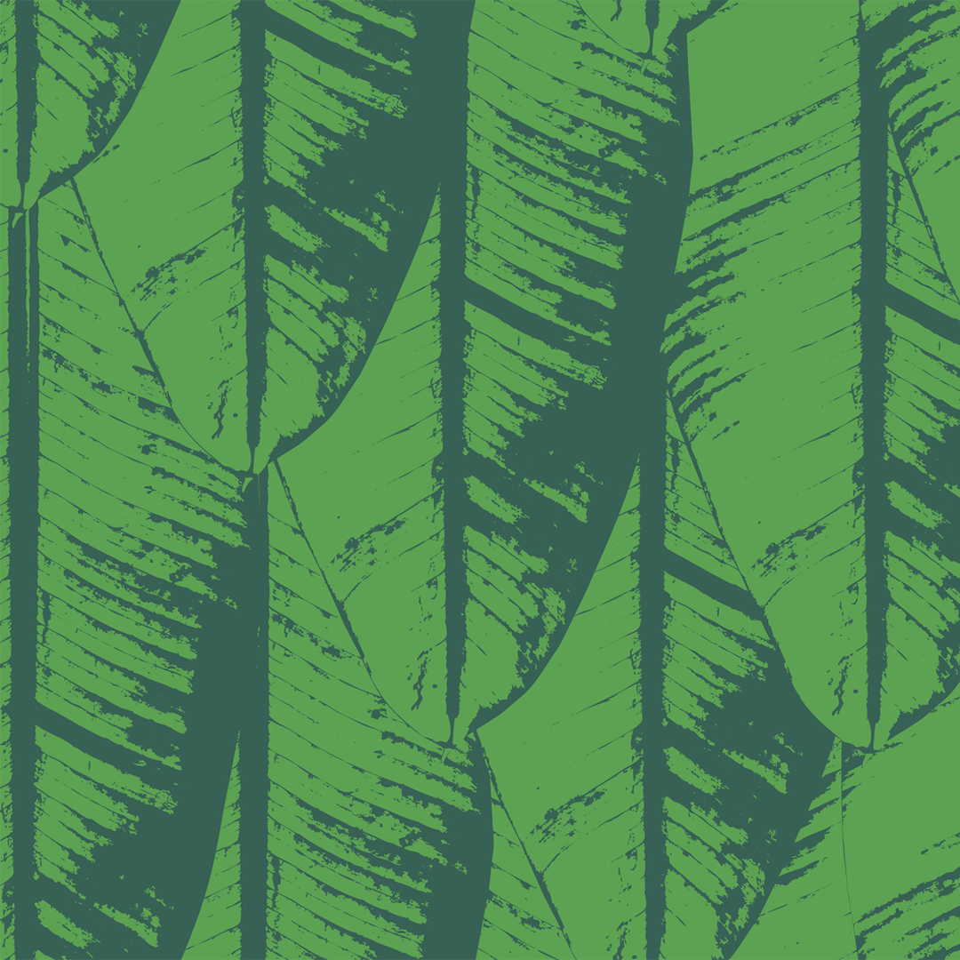 Banana Palm - Jade - Trendy Custom Wallpaper | Contemporary Wallpaper Designs | The Detroit Wallpaper Co.